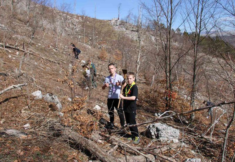 Akcija pošumljavanja na Rujištu - Volonteri Saveza izviđača Grada Mostara posadili 2400 sadnica crnog bora na Rujištu 