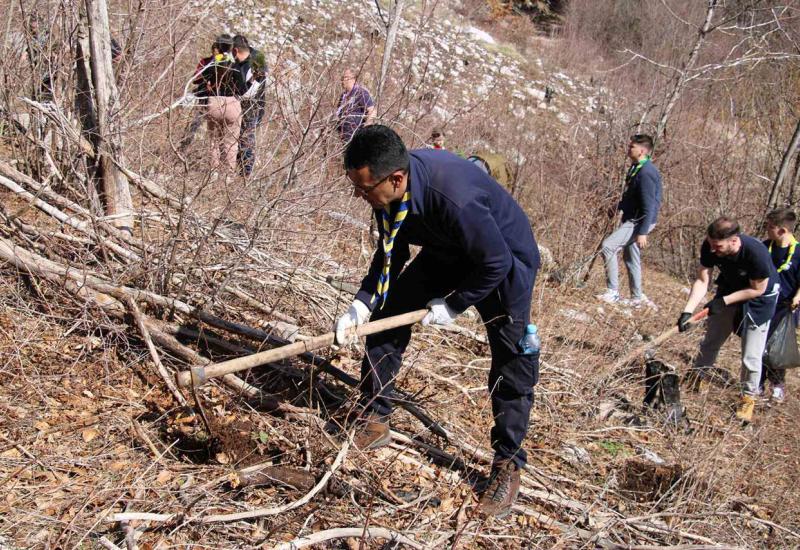 Akcija pošumljavanja na Rujištu - Volonteri Saveza izviđača Grada Mostara posadili 2400 sadnica crnog bora na Rujištu 