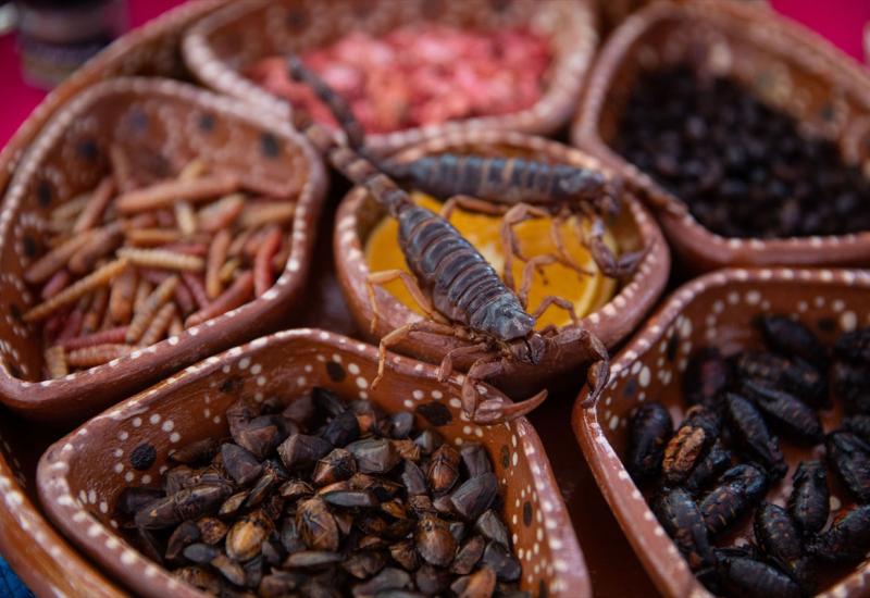 Naredne godine sigurno idemo na festival insekata u Meksiko - Jeste li probali ovu deliciju?!
