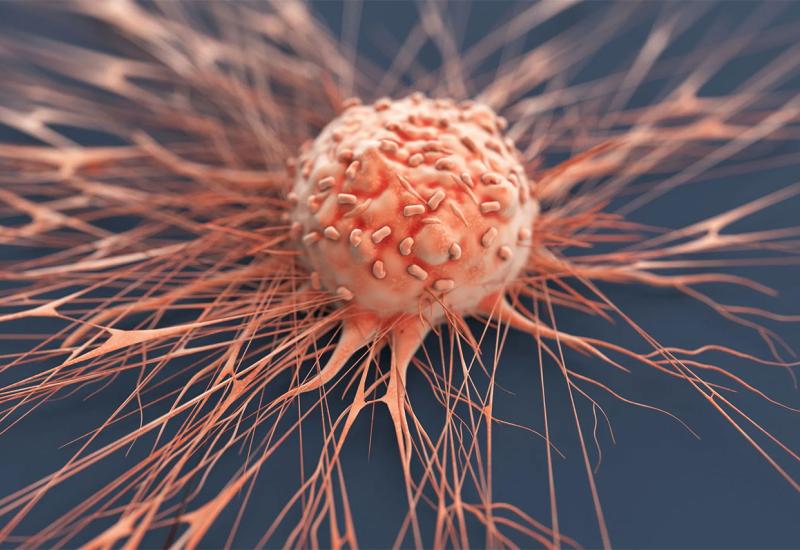 Razočaravajući zaključak istraživanja: "Mislim da ne možemo stvoriti lijek za rak"