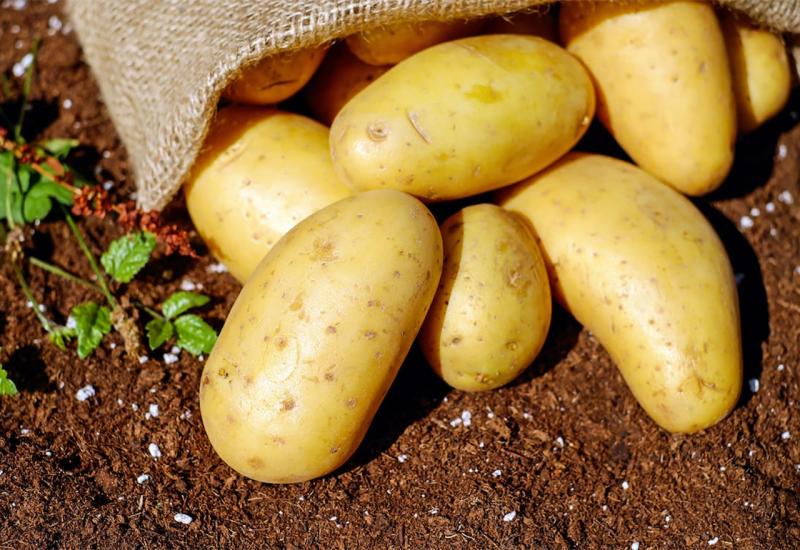 Prvi mladi krumpir stigao na tržnice u Hercegovini