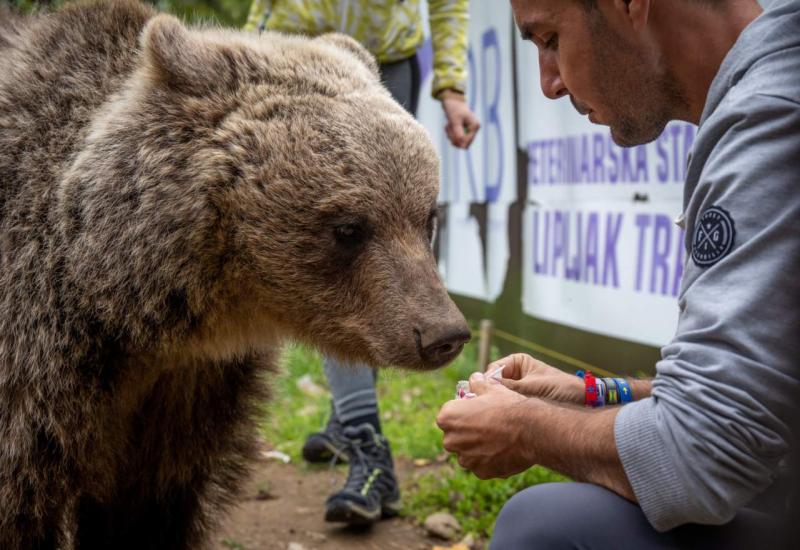 Hranjenje medvjedice na Ozrenu - Prirodna oaza: Mjesto na kojem možete hraniti jelene i medvjedice te šetati s vukom 