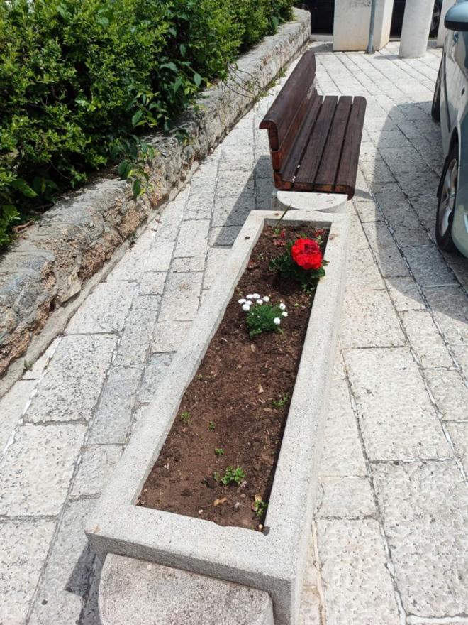 Grad moli Mostarce da ne kradu cvijeće  - Grad moli Mostarce da ne kradu cvijeće 