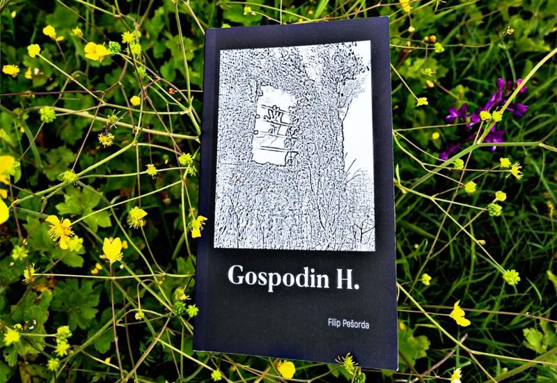 Gospodin H. - psihološki roman grudskog književnika