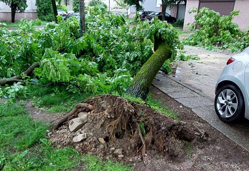 Mostar: Uslijed nevremena stradala dva stabla