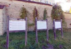 Biertan: Brava s 19 „pera“, europski jedinstven poliptih i soba za mirenje posvađanih supružnika (Transilvanijom uzduž & poprijeko 10)