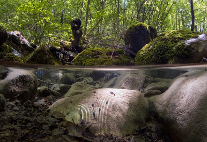 Završeno istraživanje: Nažalost, Neretva je bez sumnje najugroženija rijeka Europe