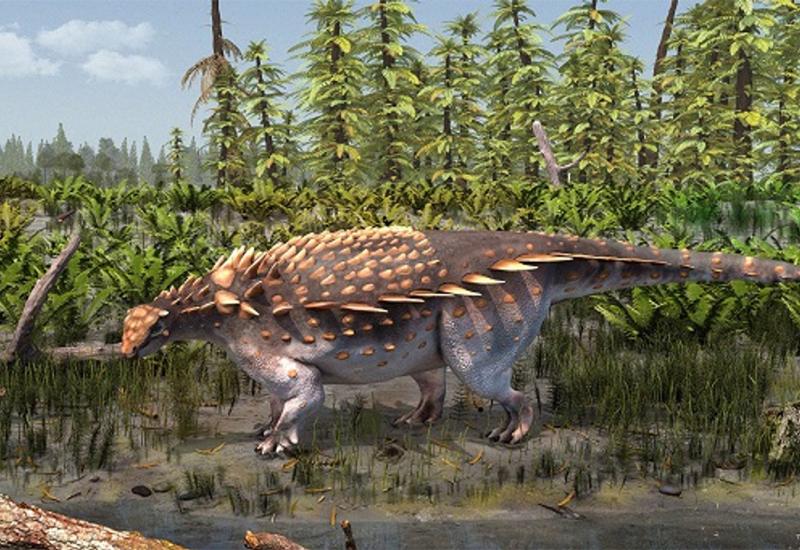 Pronađena nova vrsta oklopljenog dinosaura