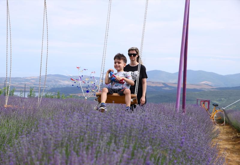 Dani lavande privlače veliki broj zaljubljenika u ovu biljku: Svi žele savršenu fotografiju