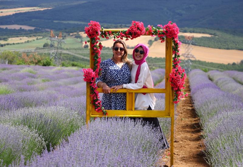 Dani lavande - Dani lavande privlače veliki broj zaljubljenika u ovu biljku: Svi žele savršenu fotografiju