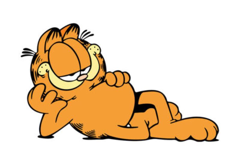 Legendarni crtani lik Garfield - Prvi strip o mačku Garfieldu objavljen je prije 45 godina