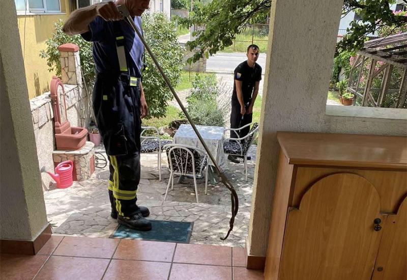 Mostarski vatrogasci intervenirali: Zmija ušla u kuću