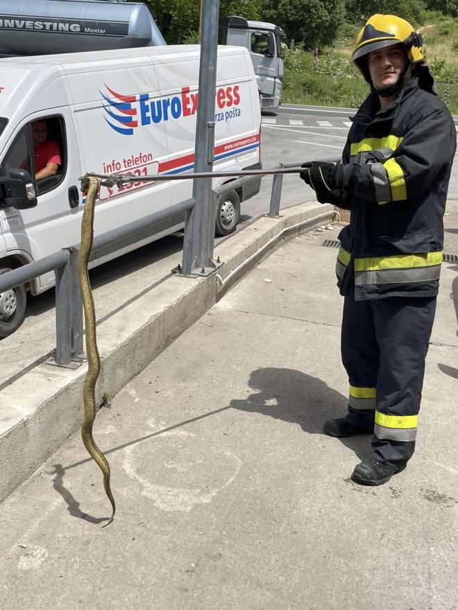 Vatrogasci u akciji - Mostar: Vatrogasci uhvatili još jednu zmiju