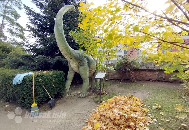 Sibiu, grad čije kuće spavaju otvorenih očiju (Transilvanijom uzduž & poprijeko 11.)