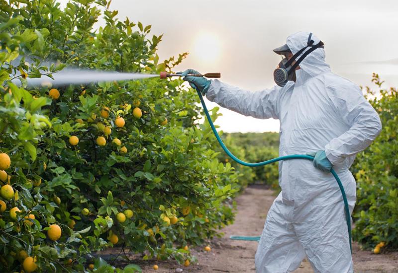 Zbog vremena i bh. poljoprivrednici koriste pesticide, šta je sa organskim uzgojem?!