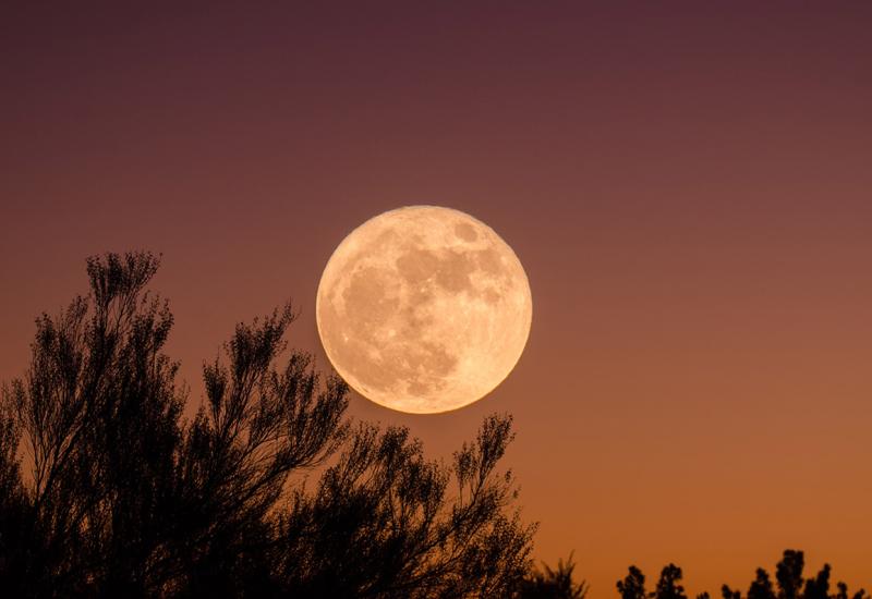 Pun Mjesec: Izvjesna neočekivana zbivanja na polju ljubavi 