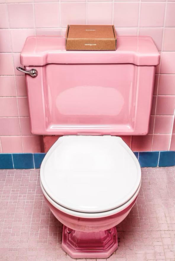 Roza toalet - Zanemareni saveznik probave
