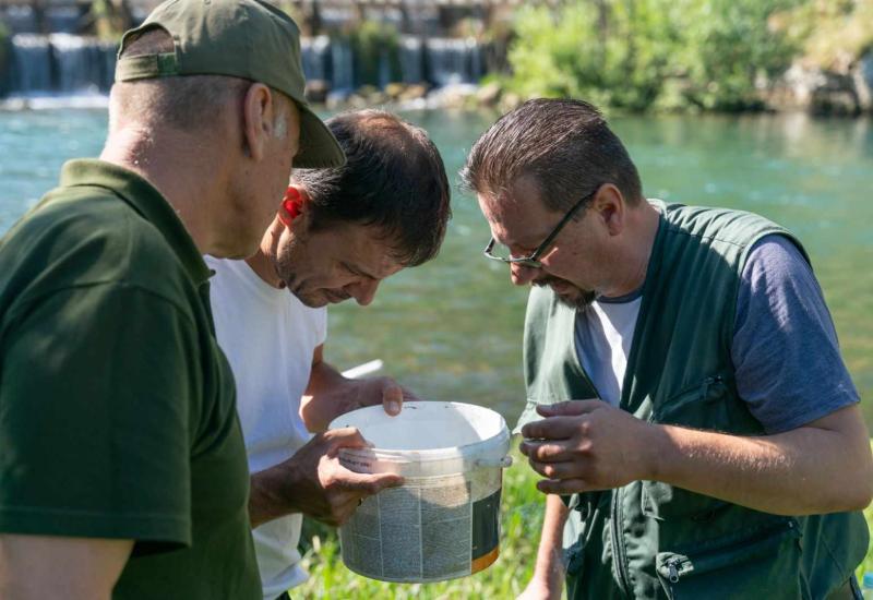 Istraživanje riblje populacije u rijeci Buni pokazat će pravo stanje mekousne pastrmke