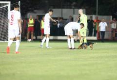 FOTO | Neobična situacija: Pas prekinuo utakmicu Zrinjski-Urartu