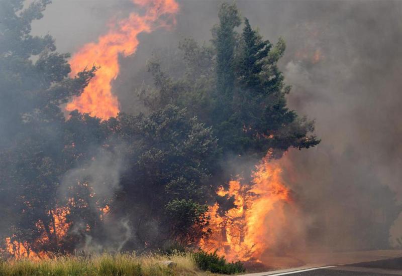 Dva požara kod Dubrovnika prijete kućama: Na terenu kanaderi i veliki broj ljudi