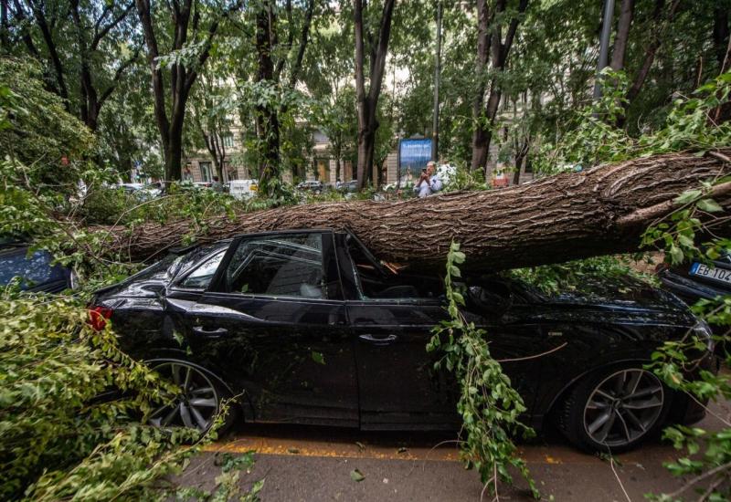 Stablo palo na automobil tijekom nevremena u Italiji - Oluja 