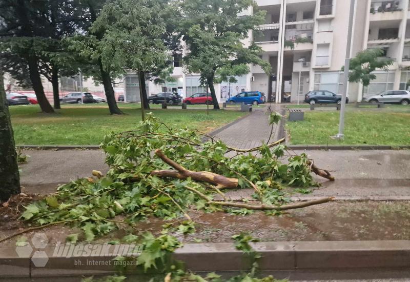 Polomljene grane nakon nevremena u Mostaru - Mostar: Olujno nevrijeme oborilo električni stup i lomilo grane