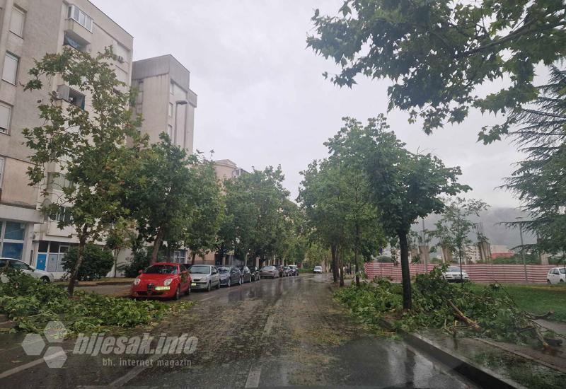 Polomljene grane nakon nevremena u Mostaru - Mostar: Olujno nevrijeme oborilo električni stup i lomilo grane