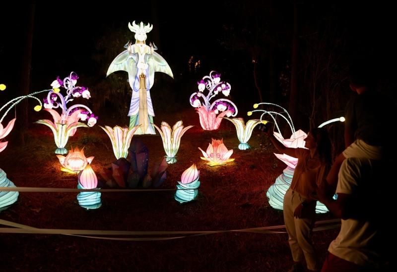"Festival svjetla u šumi" privlači ljubitelje umjetnosti