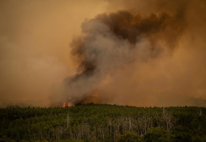 Gori na Tenerifima, požari izmakli kontroli: Preko 7.000 ljudi evakuirano