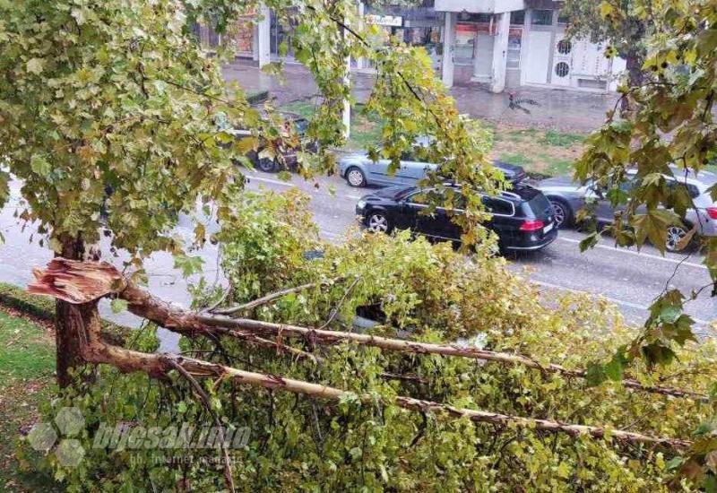 Nevrijeme napravilo štetu u Čapljini - padale grane, oštećeni automobili