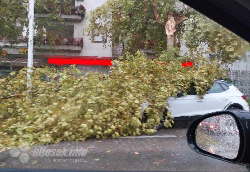 Nevrijeme napravilo štetu u Čapljii - Nevrijeme napravilo štetu u Čapljini - padale grane, oštećeni automobili