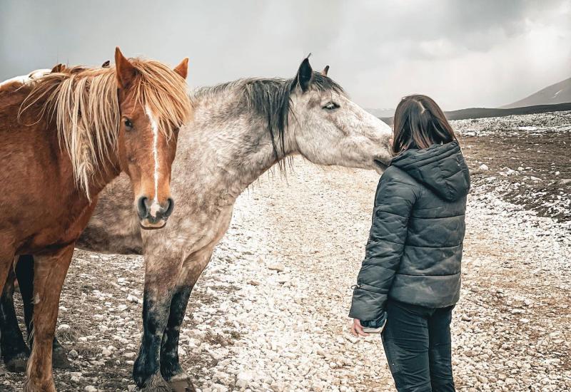 Posjet divljim konjima na jednom od izleta - Livno sve privlačnije | Dolaze radi divljih konja, ostaju radi prirodnih ljepota