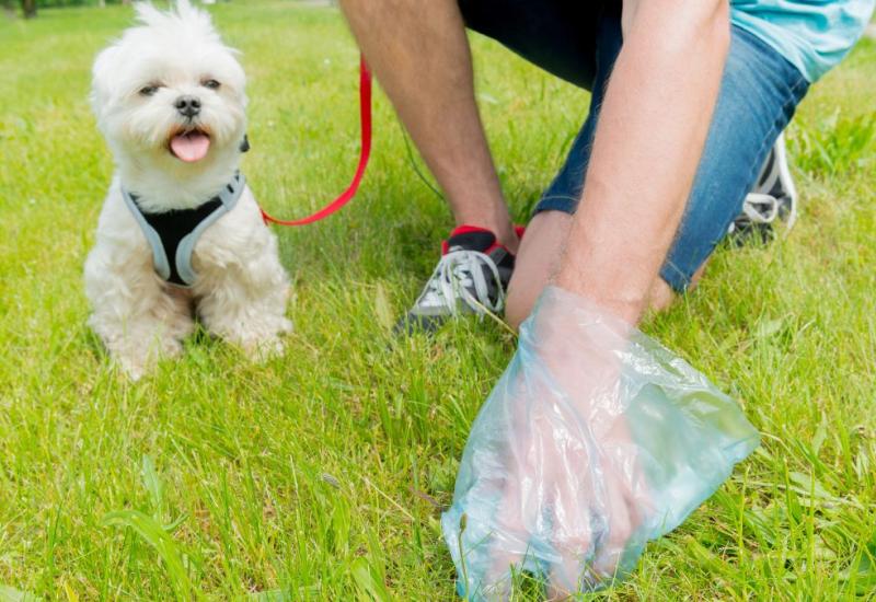 Pseća kakica - Francuski grad će pomoću DNK testa identificirati vlasnike pasa koji ne čiste iza njih