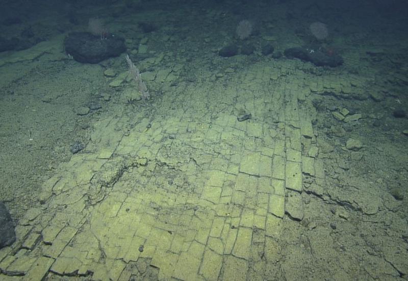 Na dnu oceana otkrivena cesta od žute cigle - Na dnu oceana otkrivena 