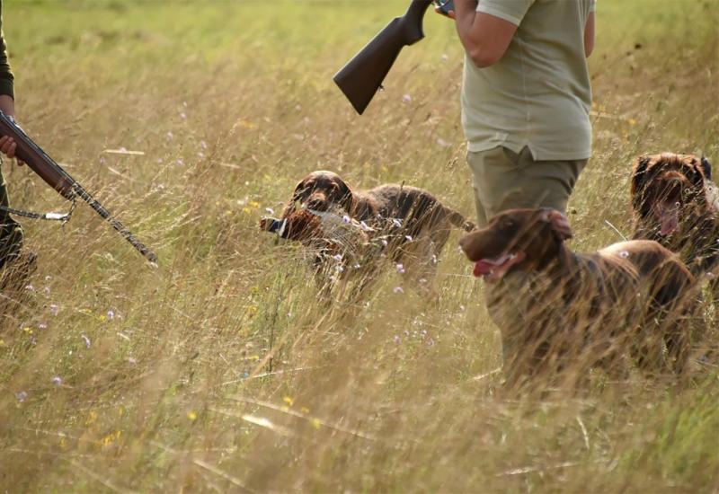Hercegovački lovci traže istragu: U kratkom roku otrovano 20 pasa!