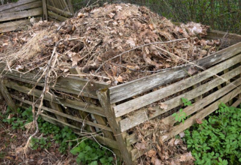 Kako i zašto kompostirati opalo lišće?