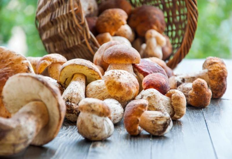 Konzumacija gljiva može spriječiti nastanak Alzheimerove bolesti?