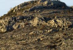 Pronađene ilirske kamene oči kod Neuma
