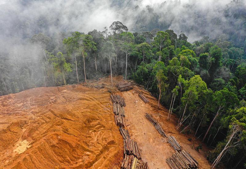 Svijet će iznevjeriti obećanje - Deforestacija se nastavlja
