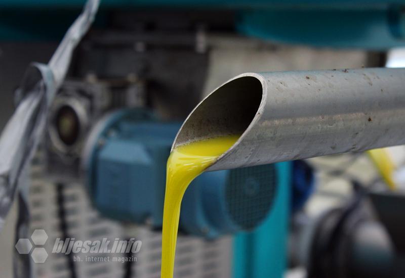 FOTO | Iz uljare u Neumu teku ‘’zlatne kapi’’ najboljeg maslinovog ulja u regiji