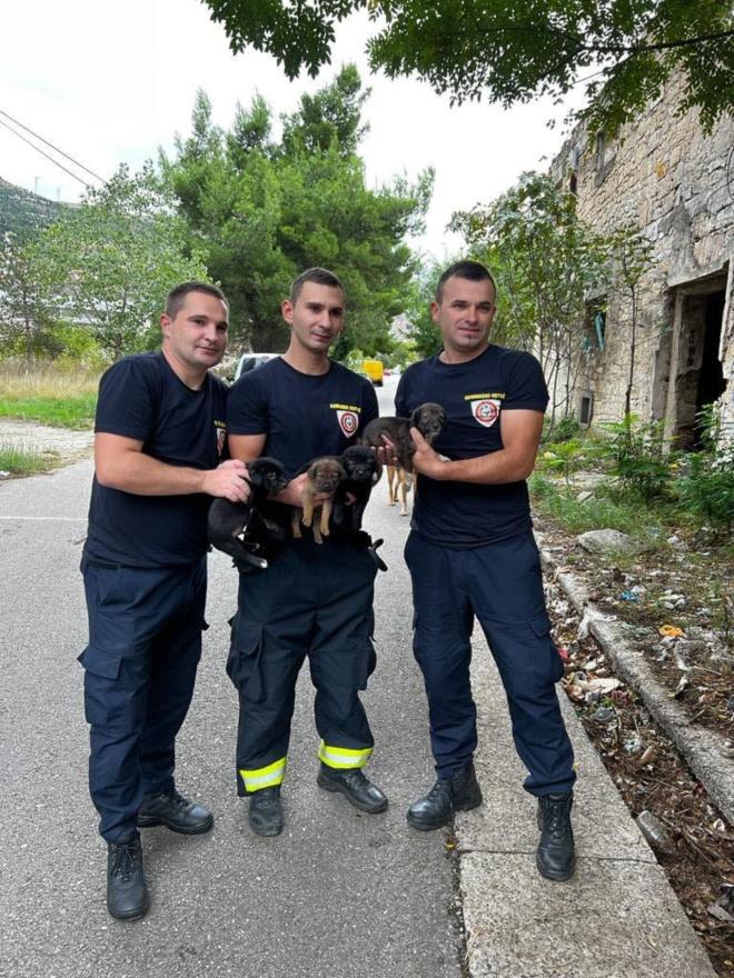 Mostarski vatrogasci spasili četiri psića  - Mostarski vatrogasci spasili četiri psića 