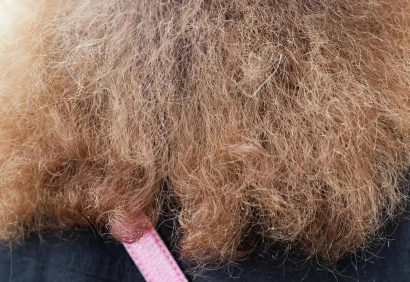 5 savjeta frizerke: Evo kako ukrotiti napuhanu kosu