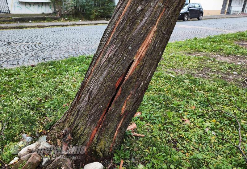 Stablo prijeti rušenjem na domove, mještani upozoravaju na hitnu intervenciju - Nakon što je ubio djevojku - bivši paraolimpijac izlazi na slobodu
