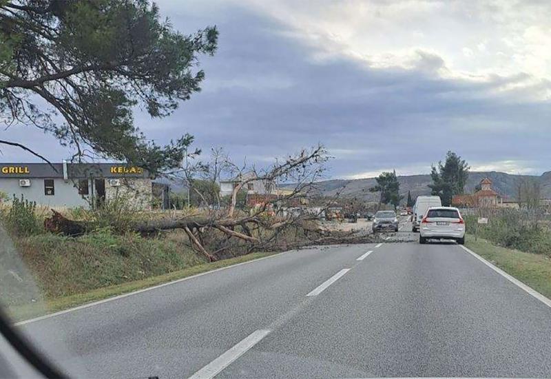 U mostarskom naselju Ortiješ oboreno stablo na cestu, intervenirala cestarska služba