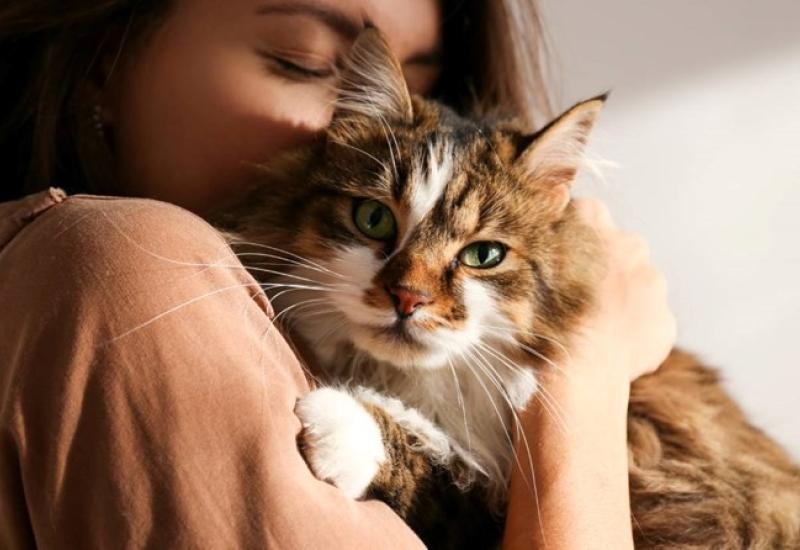 Studija tvrdi da postoji veza između kućne mačke i dobivanja shizofrenije