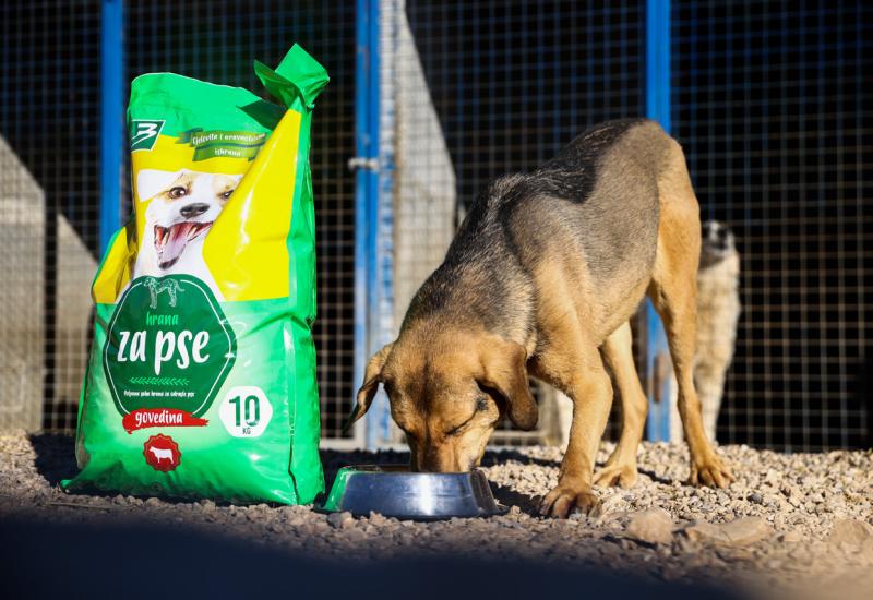 ''Zajedno za šape'' - Animal care centar dobio donaciju 10 tona suhe hrane