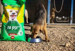 ''Zajedno za šape'' - Animal care centar dobio donaciju 10 tona suhe hrane