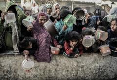 Rizik od gladi u Gazi - Djeca čekaju u redu za obrok