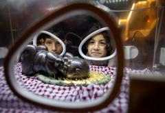 Isus Krist u inkubatoru - umjetnica odala počast bebama ubijenim u Gazi