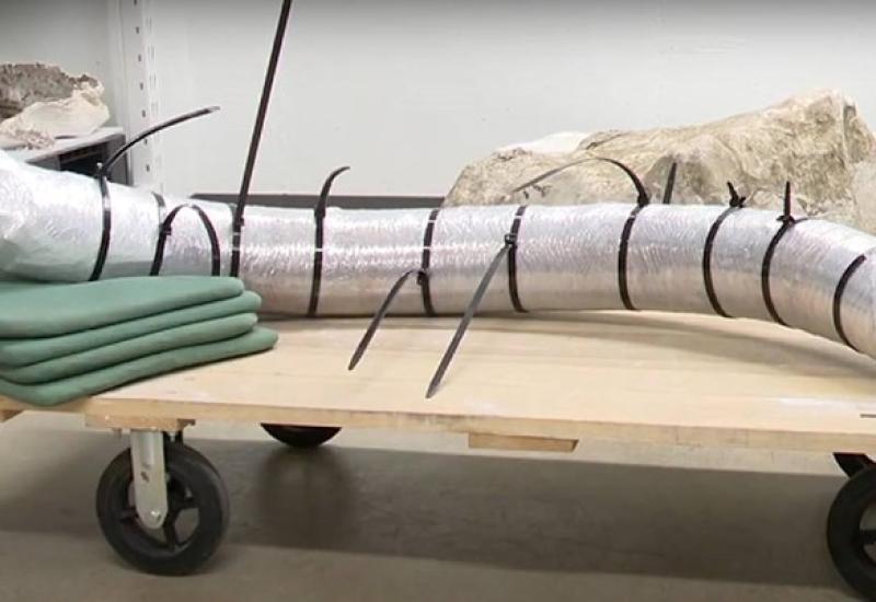 U rudniku u SAD-u pronađena kljova mamuta